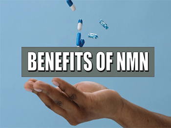 What Does Nicotinamide Mononucleotide Do?
